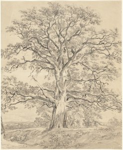 Büyük Meşe Ağacı by John Constable