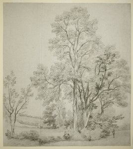 Bir Karaağaç Standı (rekto); Kilise ile Doğu Bergholt Üzerine Bir Araştırma (verso) by John Constable