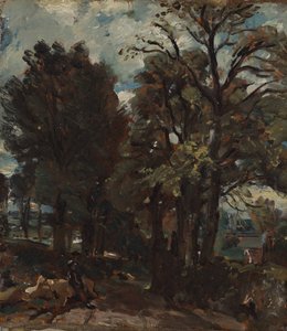 Fen Lane, Doğu Bergholt by John Constable