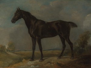Golding Constable'ın Siyah Binicilik Atı by John Constable
