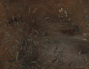 Bir havuz acele by John Constable