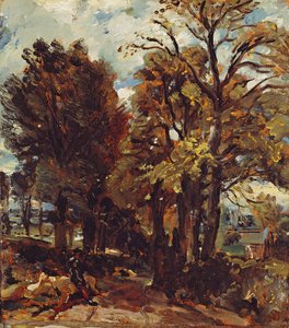 Doğu Bergholt