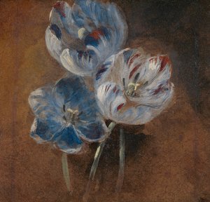 Üç Papağan Lalesi Çalışması by John Constable