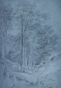 Dişbudak ve diğer ağaçların incelenmesi (kağıt üzerine kurşun kalem, beyaz tebeşirle yükseltilmiş) by John Constable