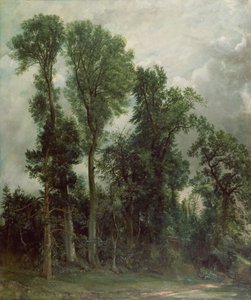 Hampstead'deki ağaçlar by John Constable