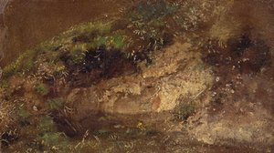 Undergrowth, c.1821 (gemide kağıt üzerine yağlı boya) by John Constable