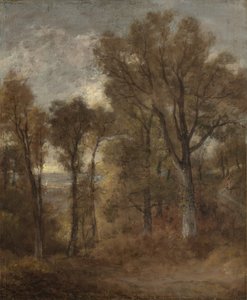 Dedham Vale