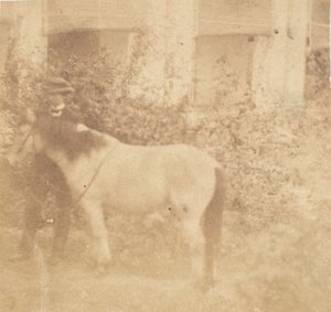 [İnsan ve At, Hükümet Konağı, Allahabad], 1858. by John Constantine Stanley