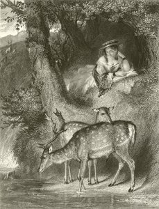 Mountain Solitude  by John Corbould