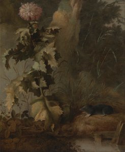 Bir Mısır Gelinciği ve Bir Su Köstebeği by John Crome