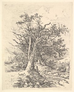 Ağaç Gövdeleri ve Şerit, 1811-13. by John Crome