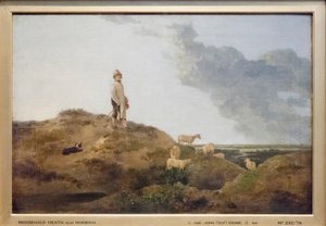 Norwich yakınlarındaki Mousehold Heath'in görünümü by John Crome