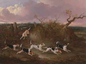 Tam Ağlayan Beagle'lar