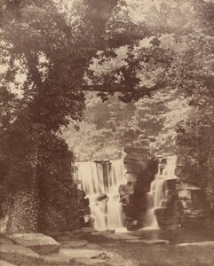 Yukarı Şelale, Penllergare Vadisi Ormanı, yak. 1852 (fotoğraf) by John Dillwyn Llewelyn