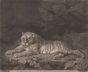 Bir Kaplan by John Dixon