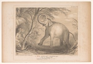 Spotpret, Lord Ellenborough ile bir araya geldi. als een wilde olifant Vahşi bir fil trompet ediyor. Paradise Lost