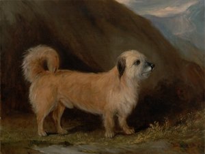 Bir Dandie Dinmont Teriyeri by John E. Ferneley