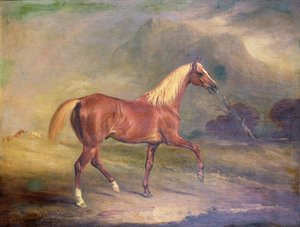 Kestane Arap Aygırı by John E. Ferneley