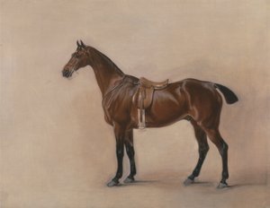 Eyerli Körfez Avcısı Çalışması by John E. Ferneley