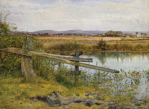 Yol Kenarı, 1862 by John Edward Newton
