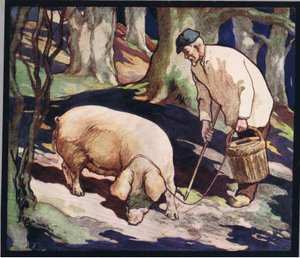 Yer mantarı arayan bir domuz, 1919