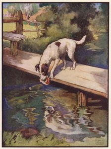 Köpek ve Gölge (renkli taş) by John Edwin Noble