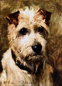 Darkie, 1903 by John Emms