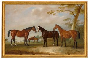 Intrepid, Conqueror ve Bay Bolton ile Silkman ve Darnley