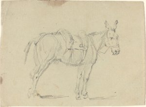 Arka Bacağını Uzatan Eşek by John Flaxman