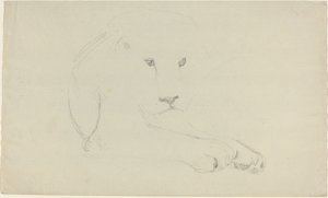 Aslan by John Flaxman