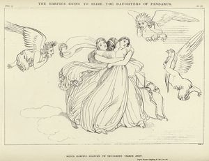 Harpiler Pandarus