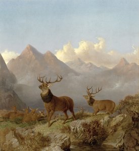 Bir Yayla Manzarasında Geyiklerin ve Arka Planların Detayı, 1864 by John Frederick Herring Junior