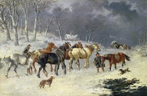 Karda atlar