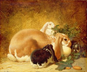 Tavşanlar, 1852