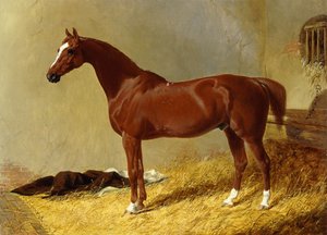 Bir Durakta Bir Körfez Yarış Atı, 1843 by John Frederick Herring Senior
