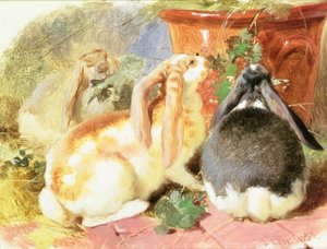 Üç Kıvrık Kulaklı Tavşan Üzerine Bir Araştırma by John Frederick Herring Senior