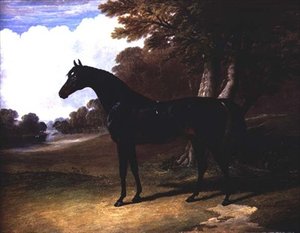 Gaucus, ağaçlık bir arazide koyu renkli bir defne atı (tuval üzerine yağlı boya) by John Frederick Herring Senior