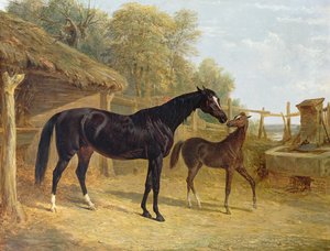 Levity, J.C.Cockerill Esq.