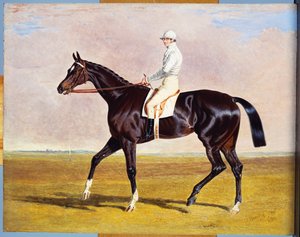 Lucetta" ile J. Robinson Up, 1834 by John Frederick Herring Senior