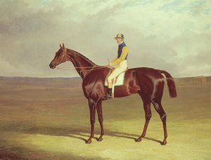 Newmarket Heath üzerinde Bay M. Stanleys Koltuk Değneği, 1833 by John Frederick Herring Senior
