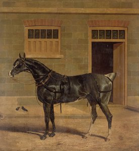 Bilinmeyen resim by John Frederick Herring Senior