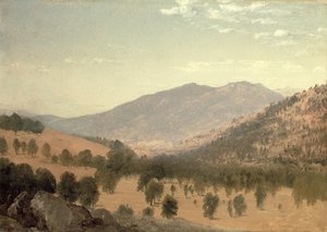 Bergen Park, Colorado (tuval üzerine yağlı boya) by John Frederick Kensett