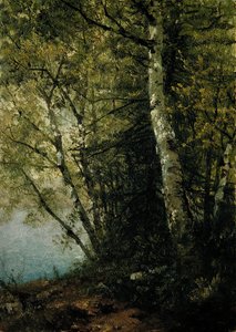 Kayın Araştırması, 1872. by John Frederick Kensett