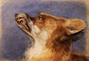 Bir Tilki Başkanı by John Frederick Lewis
