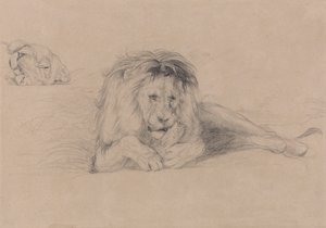 Aslan Çalışması ve Dişi Aslan Başı Çalışması by John Frederick Lewis