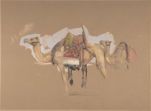İki Deve, ca. 1843. by John Frederick Lewis