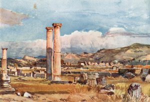 Olympia. Palaestra ve Zeus Tapınağı Kalıntıları by John Fulleylove