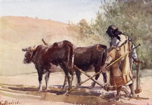 Zeytin Dağında Çiftçilik (renkli taş) by John Fulleylove
