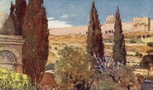 Getsemani Bahçesinin Selvileri by John Fulleylove