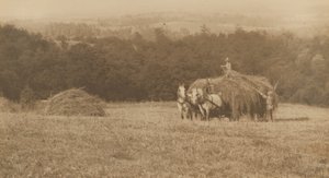 Saman Yükleme,1890-1900 (fotoğraf) by John G. Bullock